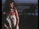 RONSTADT,LINDA-Hasten Down The Wind  (US IMPORT)  VINYL LP NEW