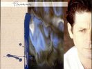 Brian Wilson Brian Wilson vinyl LP album record USA 925669-1 SIRE 1988