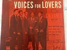 RARE DOO-WOP EP 45-W/CARDBOARD SLEEVE   THE CALVANES 