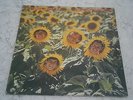 SUNNYBOYS - INDIVIDUALS