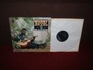 MUDDY WATERS Brass And The Blues LP 1966 CHESS 1st Press SUPERB EXAMPLE