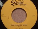 ROCKABILLY 45 ON STARDAY - LINK DAVIS - SIXTEEN CHICKS / GRASSHOPPER ROCK
