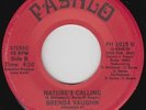 Modern Soul Boogie 45 - Brenda Vaughn - Nature's Calling - Pashlo - VG+ mp3