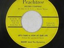 Northern Soul 45 - Emory & The Dynamics - Let's Take A Look - Peachtree - mp3