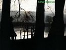 Sowiesoso by Cluster (Vinyl, Dec-2009, Bureau B)