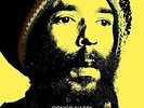 Jungle Revolution In Dub - Congo Natty (2015, Vinyl NEU)