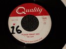 The Jury -Please Forget Her -1966 Cdn Punk / Garage - RARE