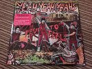 Yeah Yeah Yeahs - Fever To Tell Vinyl LP Pic Disc + 7