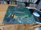 HANS JOACHIM ROEDELIUS DURCH DIE WÜSTE IN MINT KRAUT. LP RARE