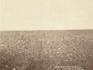 The Milk Carton Kids - The Ash and Clay VINYL LP NEW [2 Disc, LP + CD]