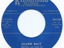 RARE ROCKABILLY  LARRY & DIXIE DAVIS  