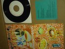 Rare Cher Doll Compilation - Champagne Dancing Party - Neutral Milk Hotel Pic