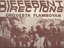 DIFFERENT DIRECTIONS - ORQUESTA FLAMBOYAN