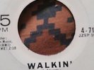 THE SHEPPARDS    OKEH  RECORDS      4-7173      PROMO SOUL