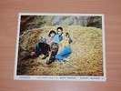 ELVIS PRESLEY - RARE ORIGINAL 1964 'Kissin' Cousins' UK CINEMA LOBBY CARD photo