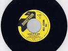 THE MICKEY FINN - GARDEN OF MY MIND mod beat soul freakbeat r&b 60s garage HEAR