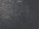 FAUST - just us