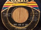 DEE DEE SHARP northern soul 45 What Kind Of Lady / You're Gonna Miss Me   Gamble