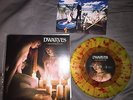 Dwarves /  The Hip Priests  I Masturbate Me 7