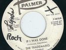 MI Garage The Trademarks PALMER 5018 If i was gone / I need you ( by my side ) ?