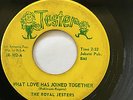 NORTHERN SOUL POPCORN 45/ THE ROYAL JESTERS 