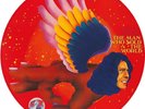 RSD 2016 David Bowie ' The Man Who Sold The World' Picture Disc