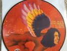 Record Store Day 2016 David Bowie The Man Who Sol The World Pic Disc