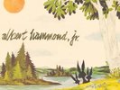 Albert Hammond Jr. Yours To Keep LP The Strokes Vinyl RSD 2016