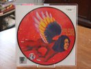 The Man Who Sold the World Bowie picture disc 2016 rsd