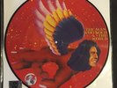 David Bowie The Man Who Sold The World RSD 2016 Record Store Day Picture Disc