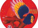 David Bowie The Man Who Sold The World  Picture Disc LP Record Store Day 2016