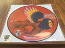 DAVID BOWIE PICTURE DISC THE MAN WHO SOLD THE WORLD RSD 2016 RECORD STORE DAY LP