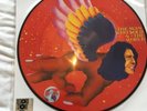 DAVID BOWIE - The Man Who Sold The World EU 2016 LP picture disc RSD 2016 NEW/S