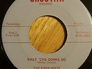 Rare Doo Wop Rocker 45  THE FOUR MINTS 45 - Galen Denny  on CHOCTAW M-