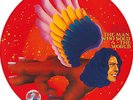 RSD 2016 - LP - David Bowie - The Man Who Sold The World PICTURE DISC
