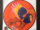 David Bowie Man Who Sold The World Vinyl Picture Disc Record Store Day Limited