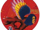 Record Store Day 2016 David Bowie ' The Man Who Sold The World' Picture Disc