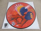 DAVID BOWIE - THE MAN WHO SOLD THE WORLD - PIC DISC LP VINYL  - RSD 2016 - NEW