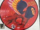 DAVID BOWIE  The man who sold the world   LP PICTURE DISC /  RSD 2016