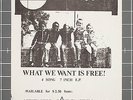 Articles of Faith - What We Want Is Free promo flyer kbd punk Version Sound