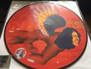 David Bowie MAN WHO SOLD THE WORLD PICTURE DISC LP. Sealed RSD 2016.