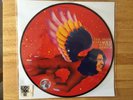 DAVID BOWIE PICTURE DISC THE MAN WHO SOLD THE WORLD RSD 2016 RECORD STORE DAY LP