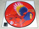 David Bowie Man Who Sold The World LTD ED RSD 2016 Picture Disc LP NEW
