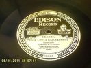 Edison 52438  Four Little Blackberries / A Bunch Of  Roses Green Brother's Band