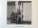 PATTI SMITH 
