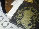 Monsters in the Closet by Mayday Parade (Vinyl from 2014 tour limited to 50