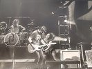 ++Halestorm- Into The Wild Live: Chicago 10