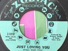 RARE NORTHERN SOUL ORIGINAL-Ruby Andrews Just Loving You/Zodiac records