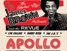 The James Brown Revue Get Down At The Apollo With The J.B.'s Vinyl LP RSD 2016