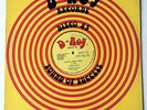 D ROY BAND - Hyde Park Dub / CASSANDRA - Sitting In The Park - D ROY '79